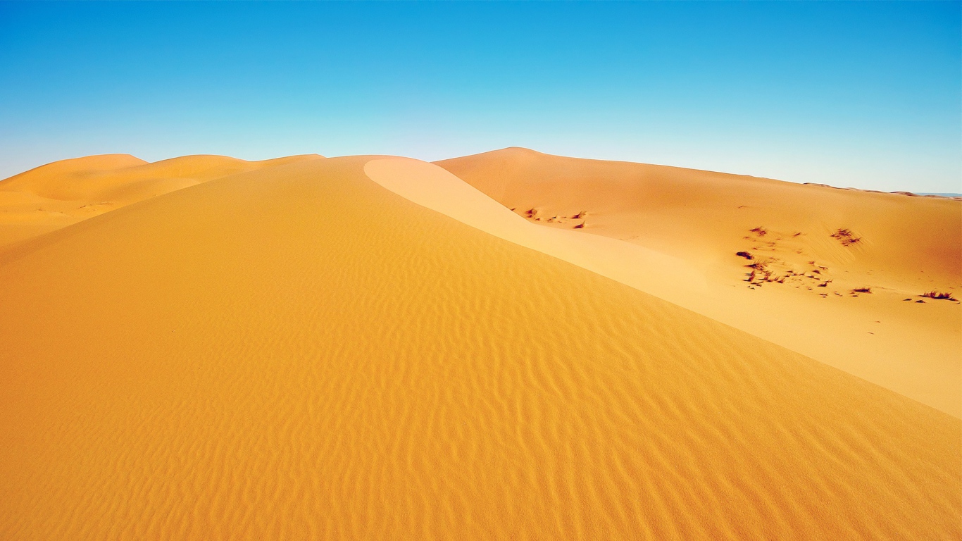 African desert
