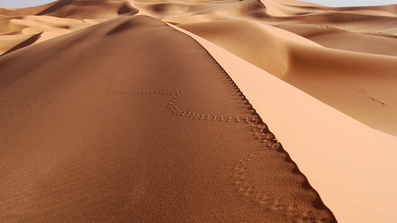 Следы на песке в пустыне