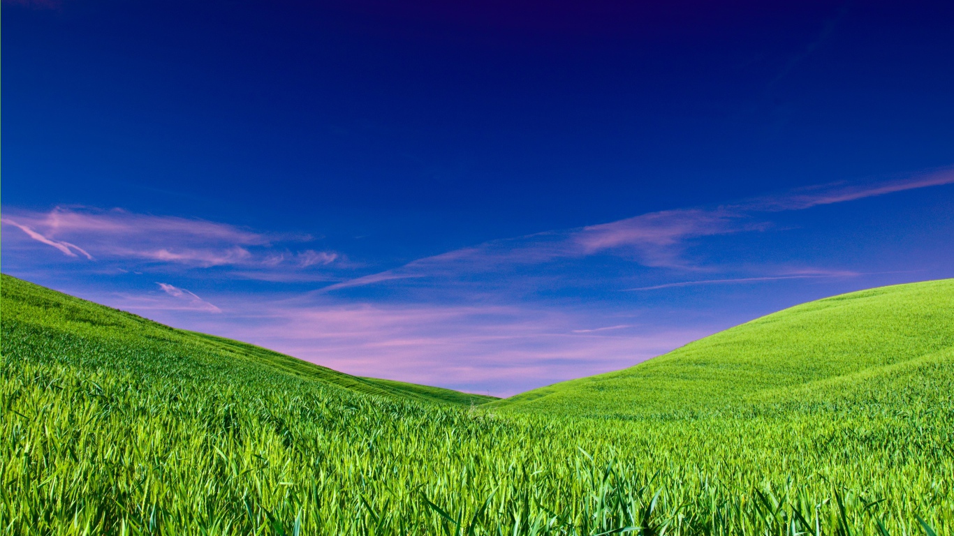 Чистое небо над полем