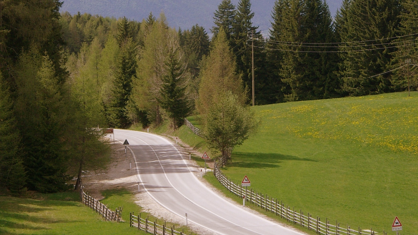 Забор вдоль дорги