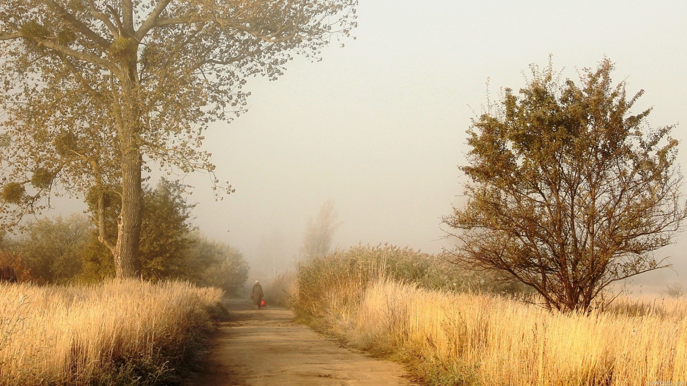 Одинокий человек на дороге
