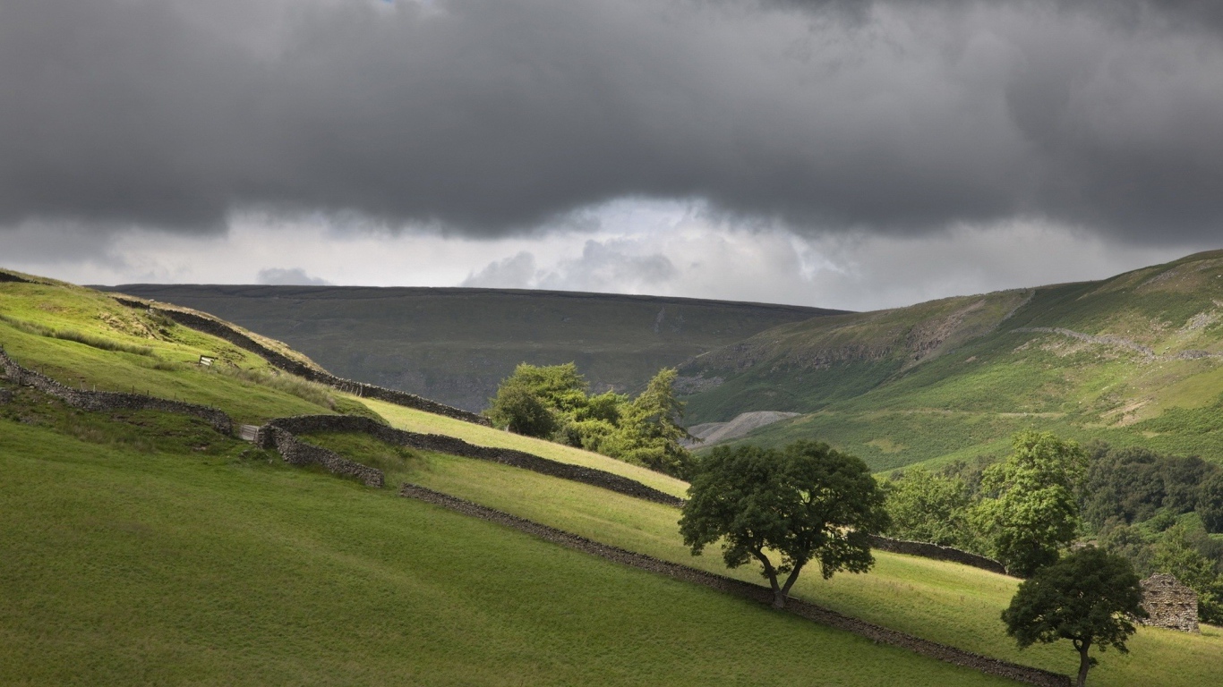 Поля огороженные заборами