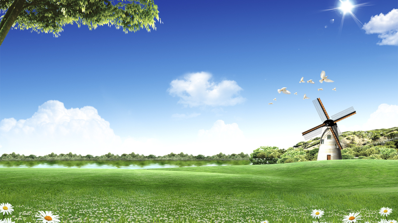 Летний солнечный день на поле