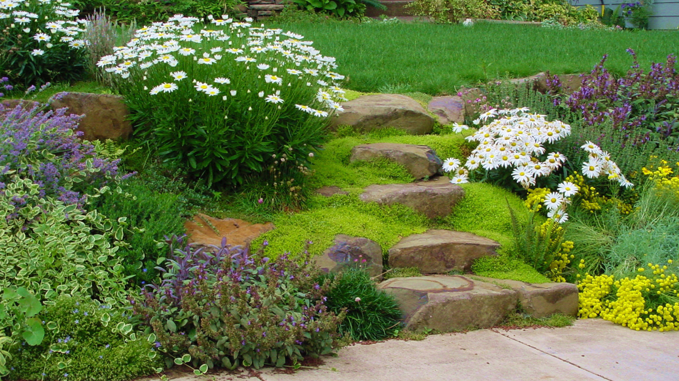 На дачном участке альпийская горка