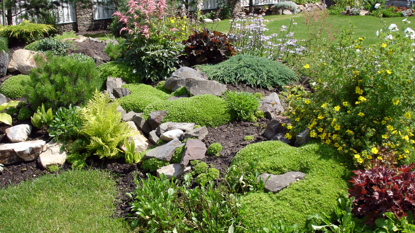 Красивая альпийская горка на дачном участке