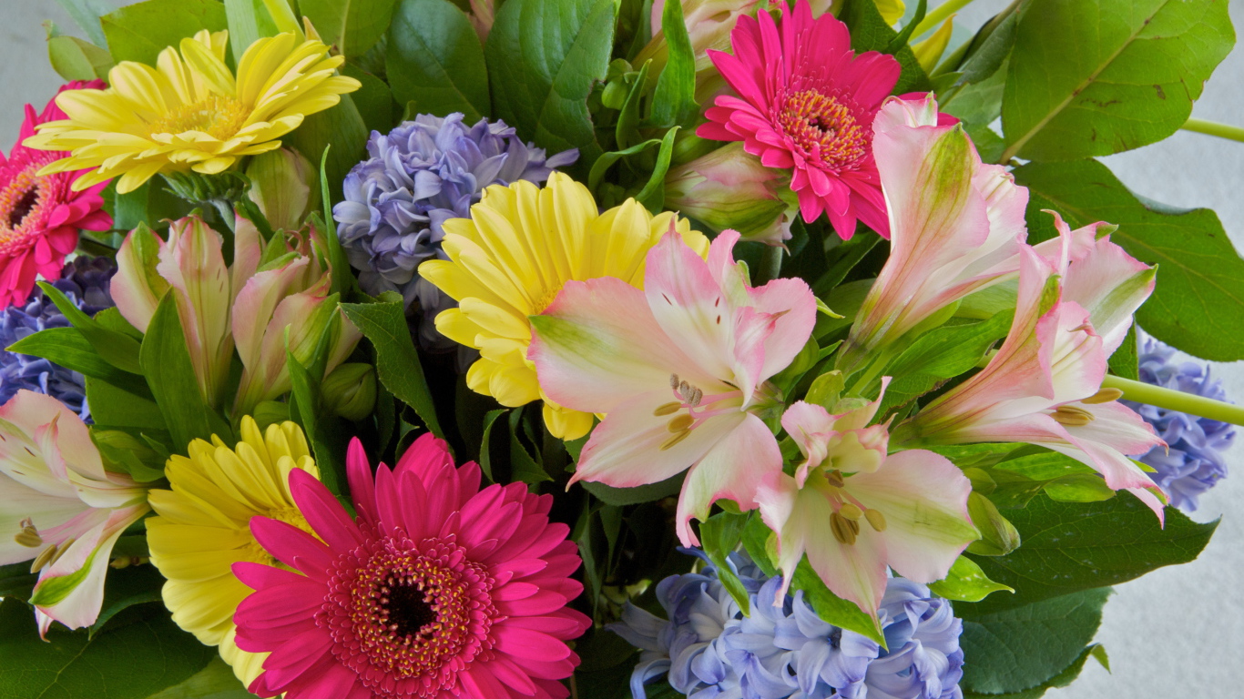 Красивый букет цветов гербера