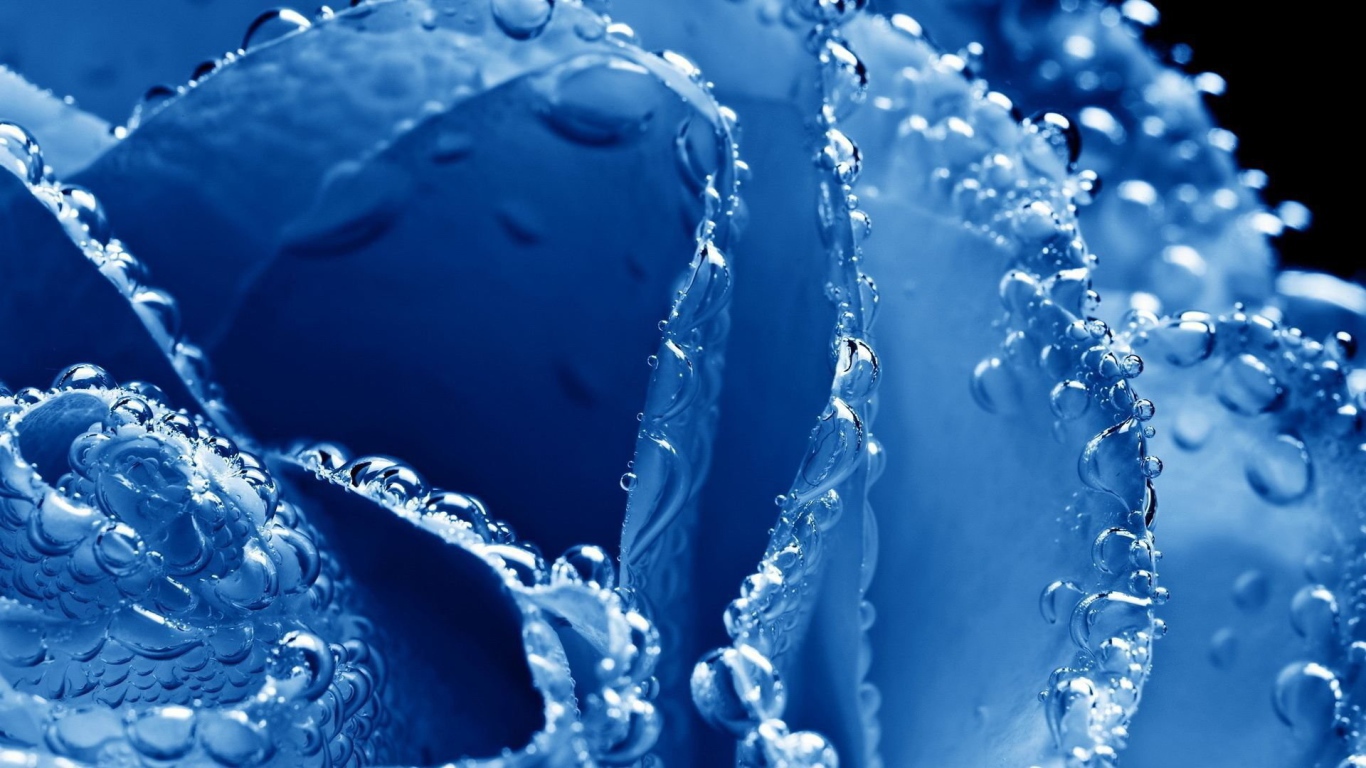 Синяя роза в пузырьках воздуха