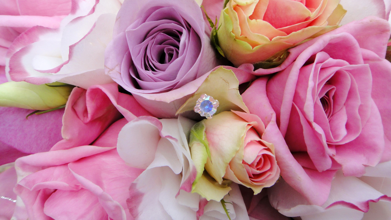 Садовые цветы эустома (ирландская роза) на дачном участке