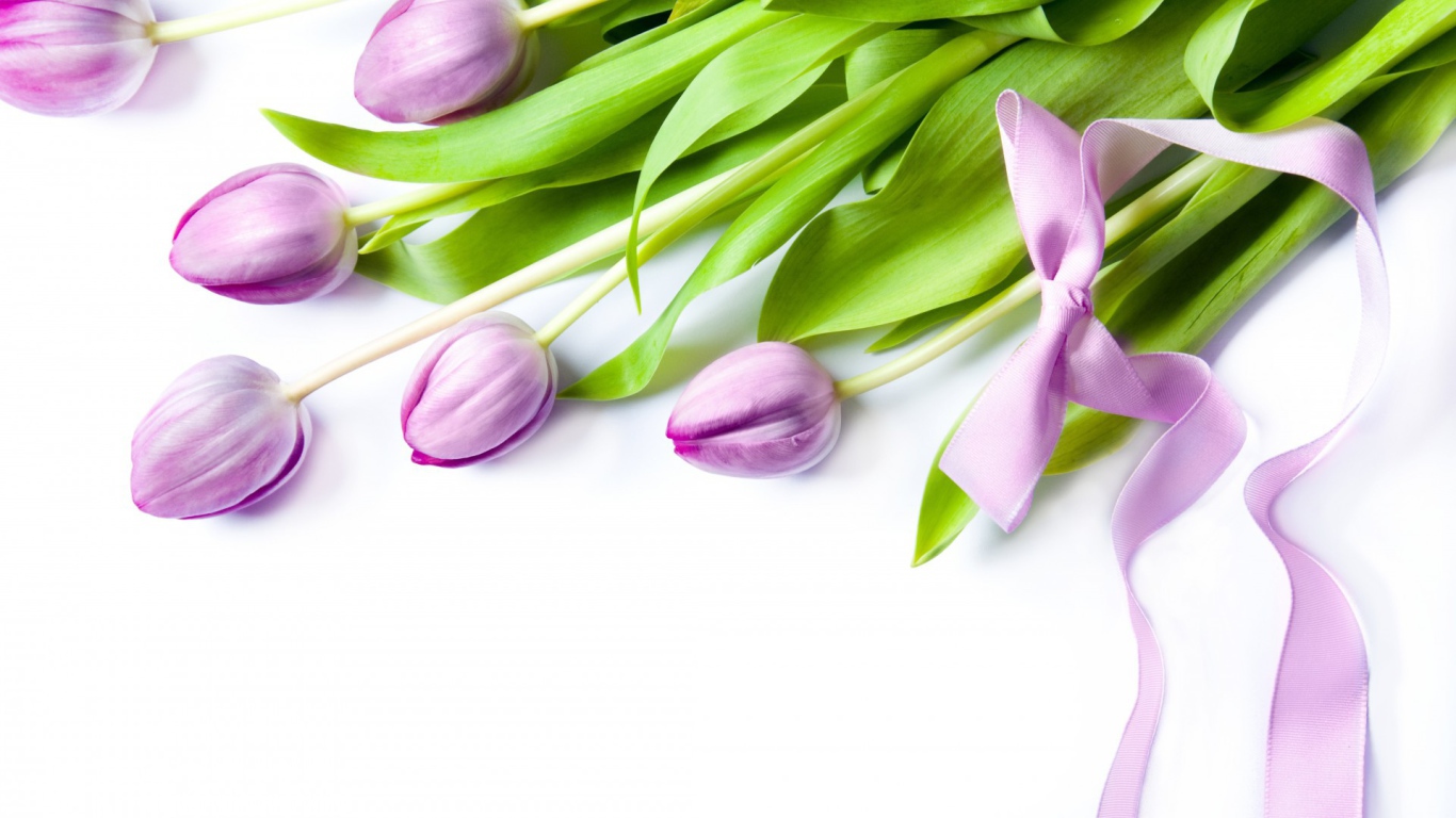 Фиолетовые цветы с бантом