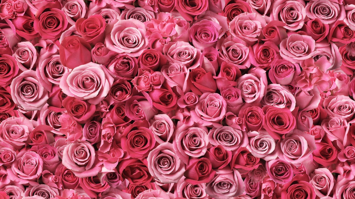 Спирали любви 