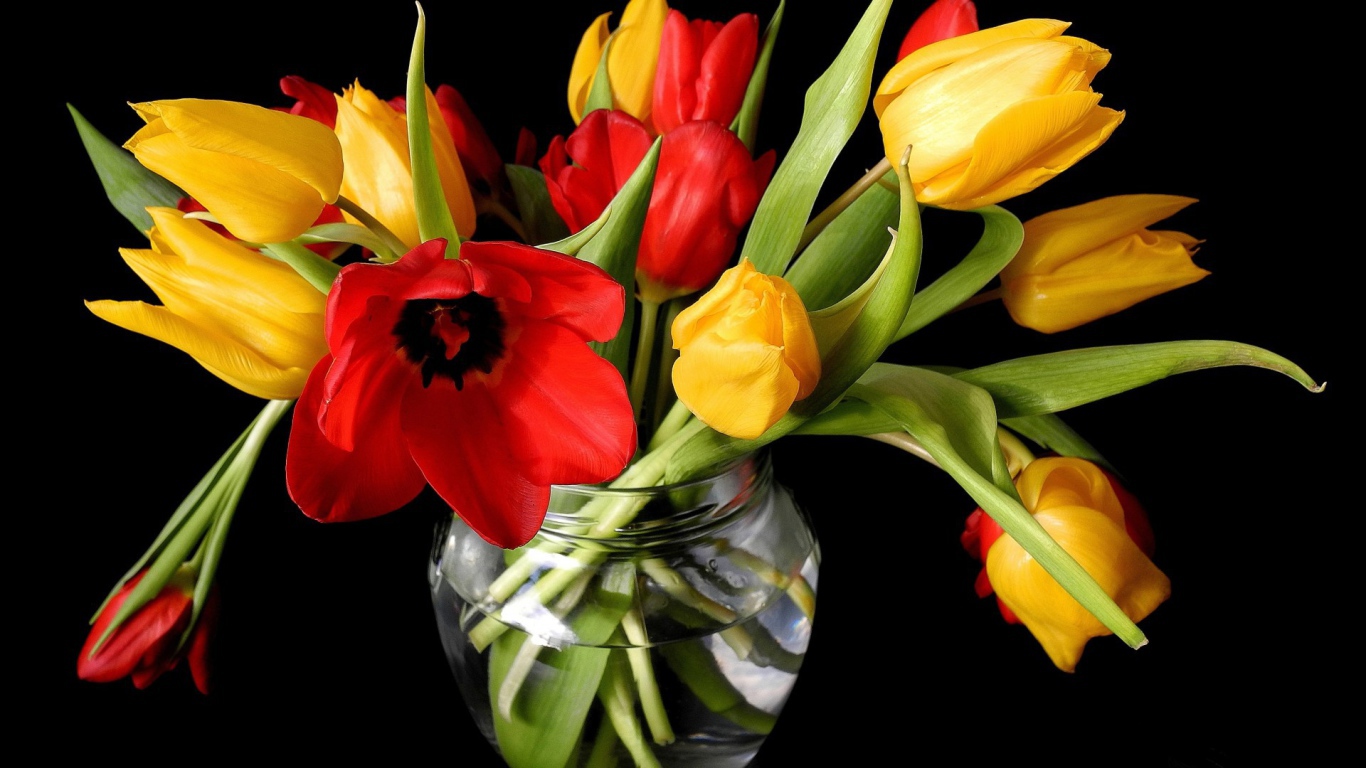 Тюльпаны в банке