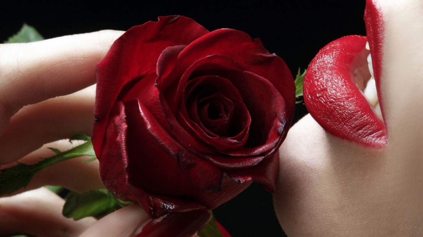 	 Lips and a red rose petals