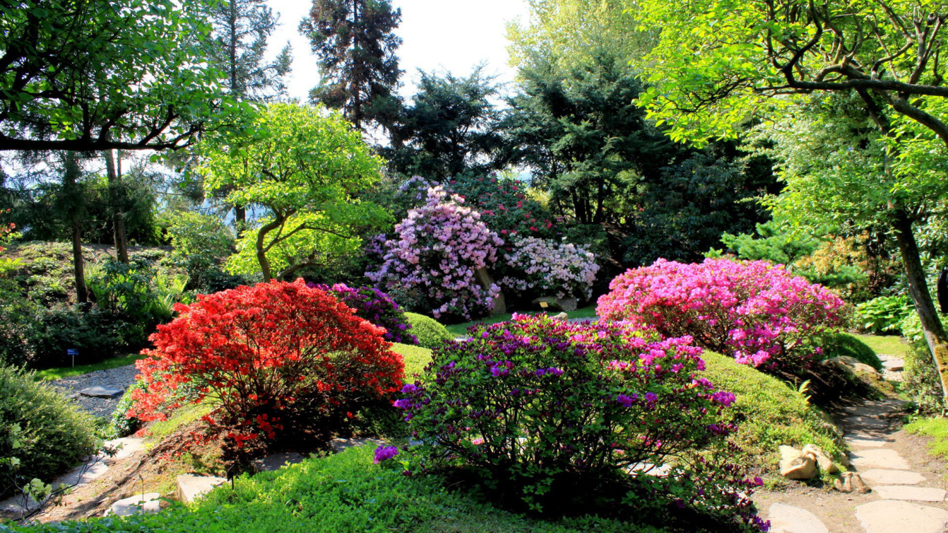 Аллея в парке