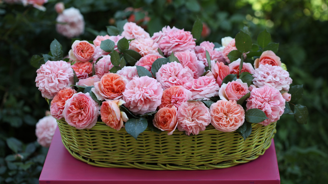 Цветы в зеленой корзине