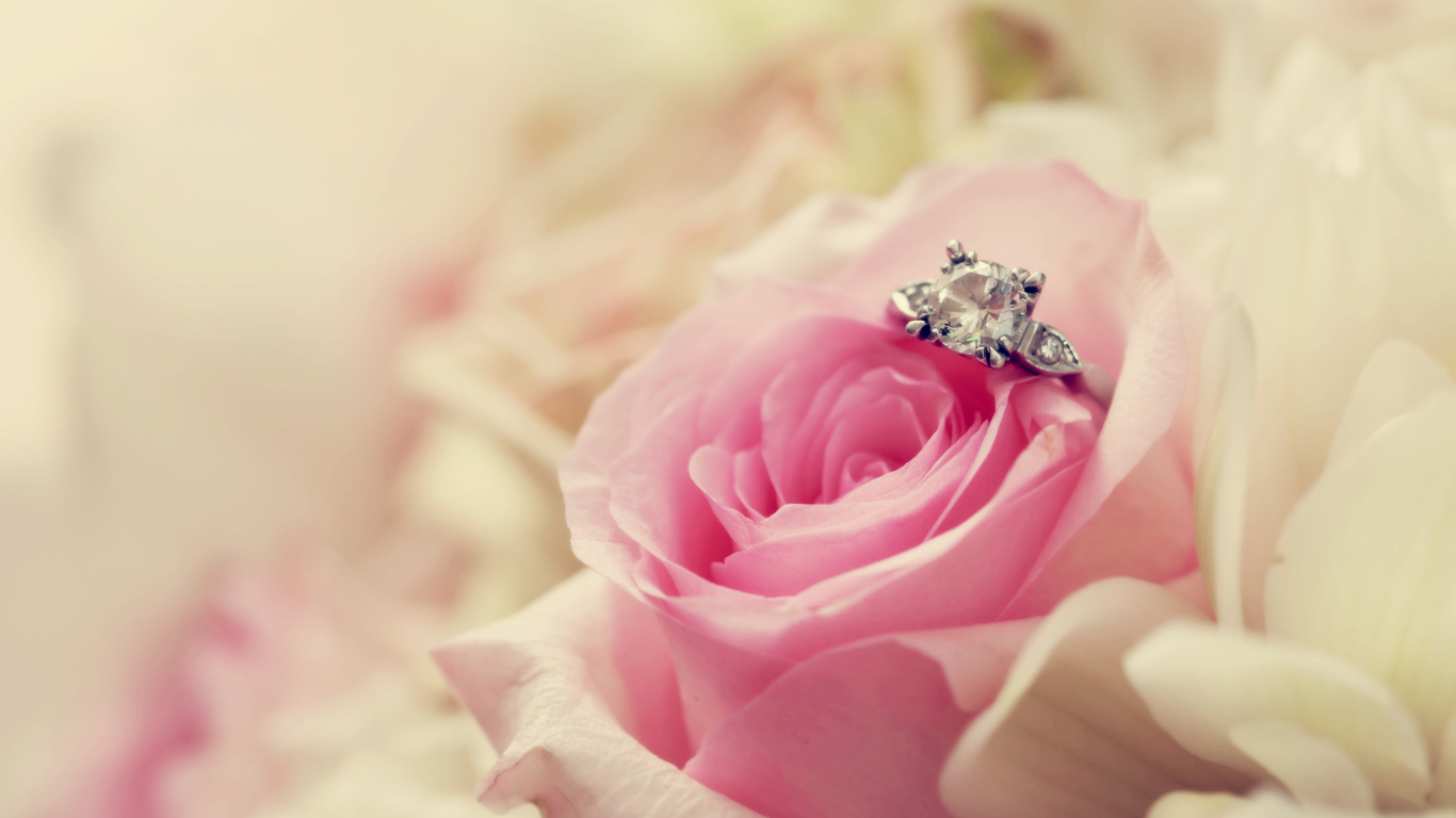 В розе лежит кольцо