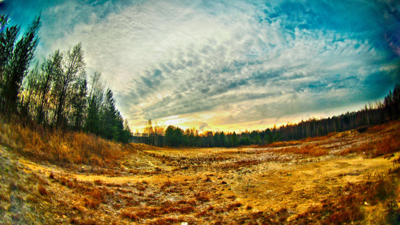 Просека в лесу