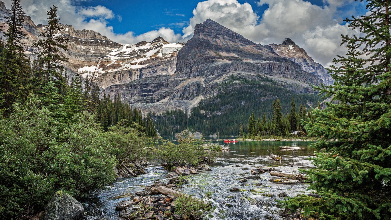 Горная река среди леса