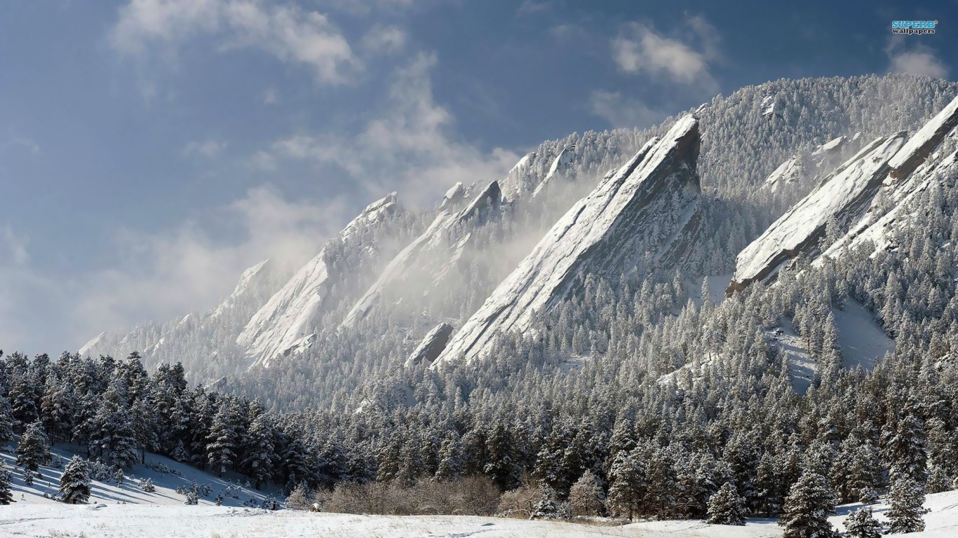Скалы и деревья