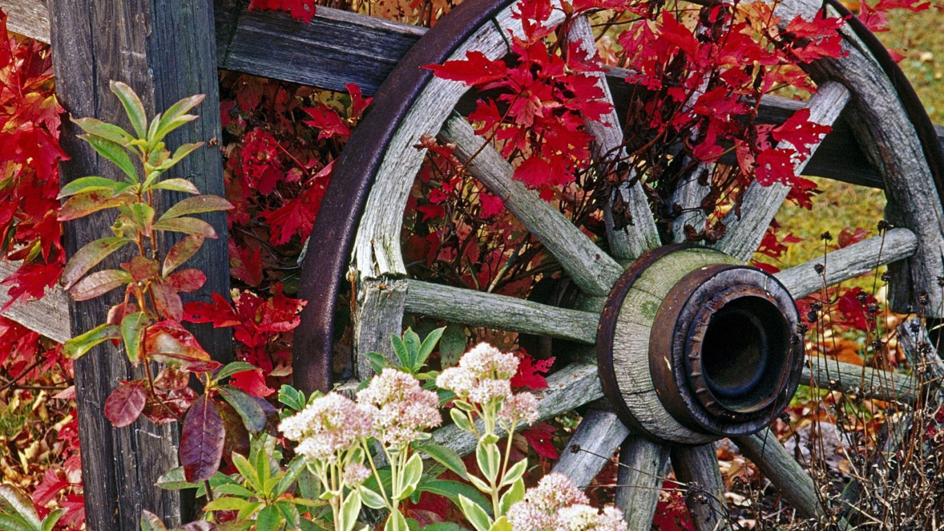 Колесо от старой телеги