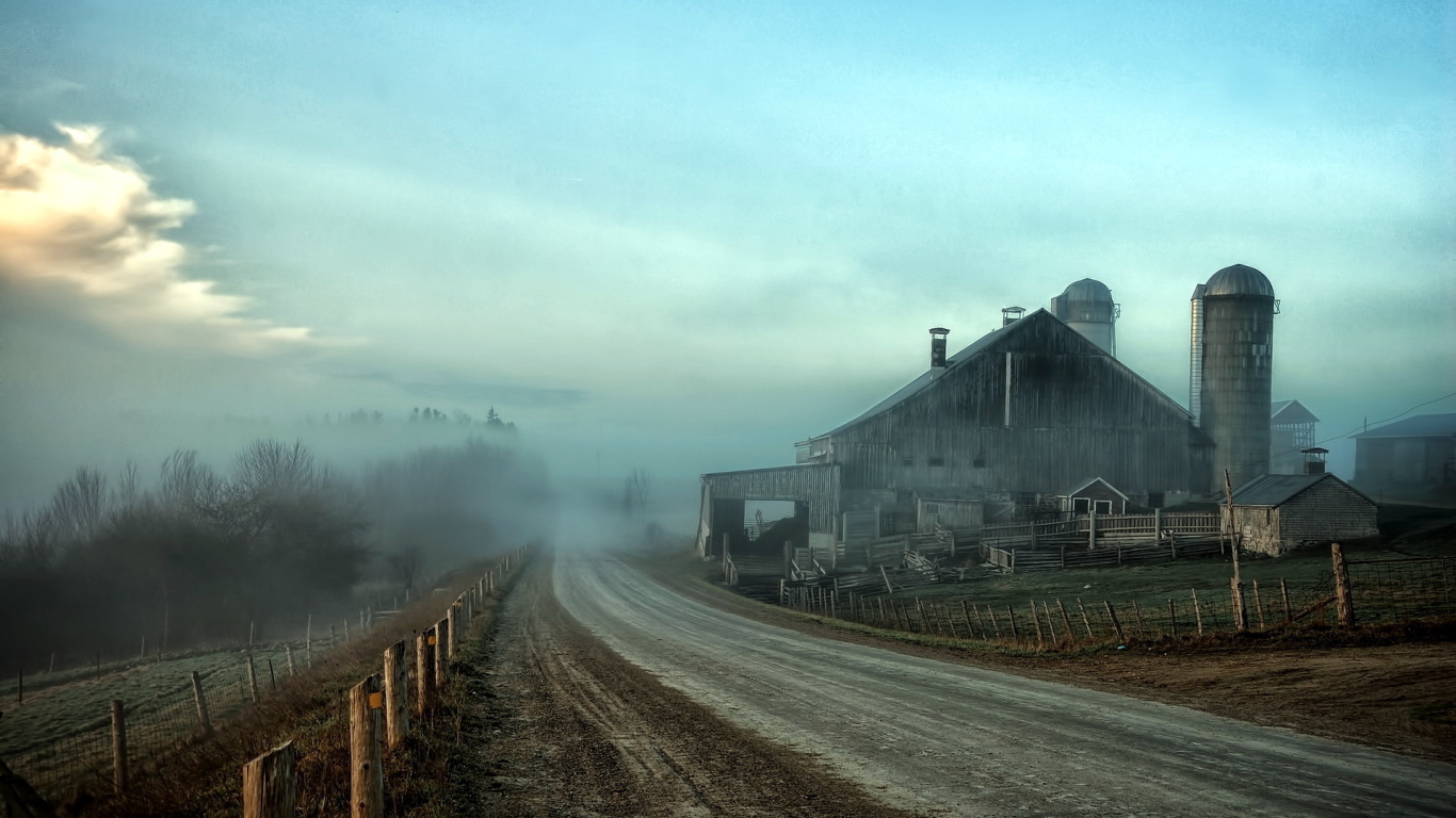 Туман на дороге