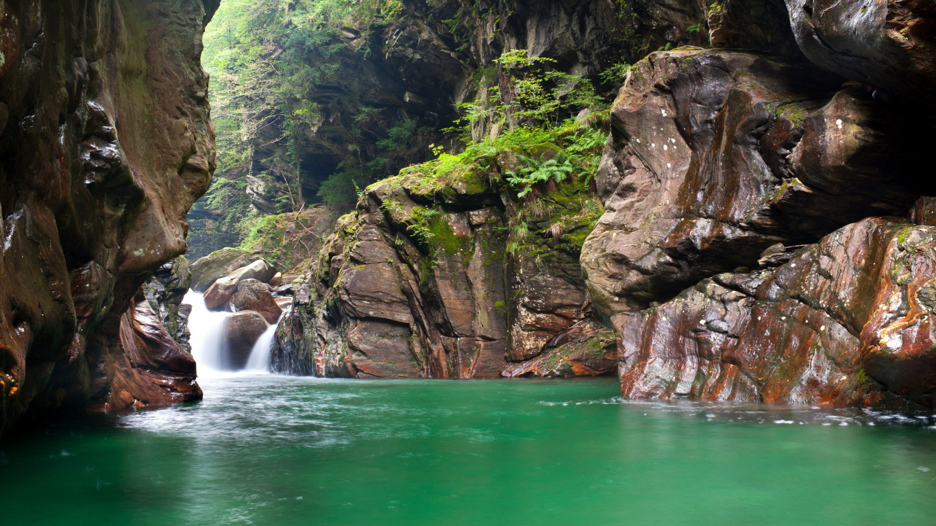 Зеленая вода в реке