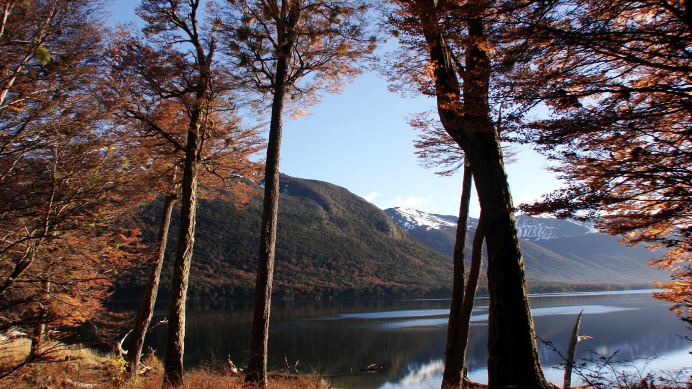 Озеро в осеннем лесу