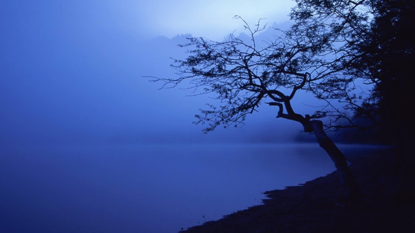 Lake in the blue fog