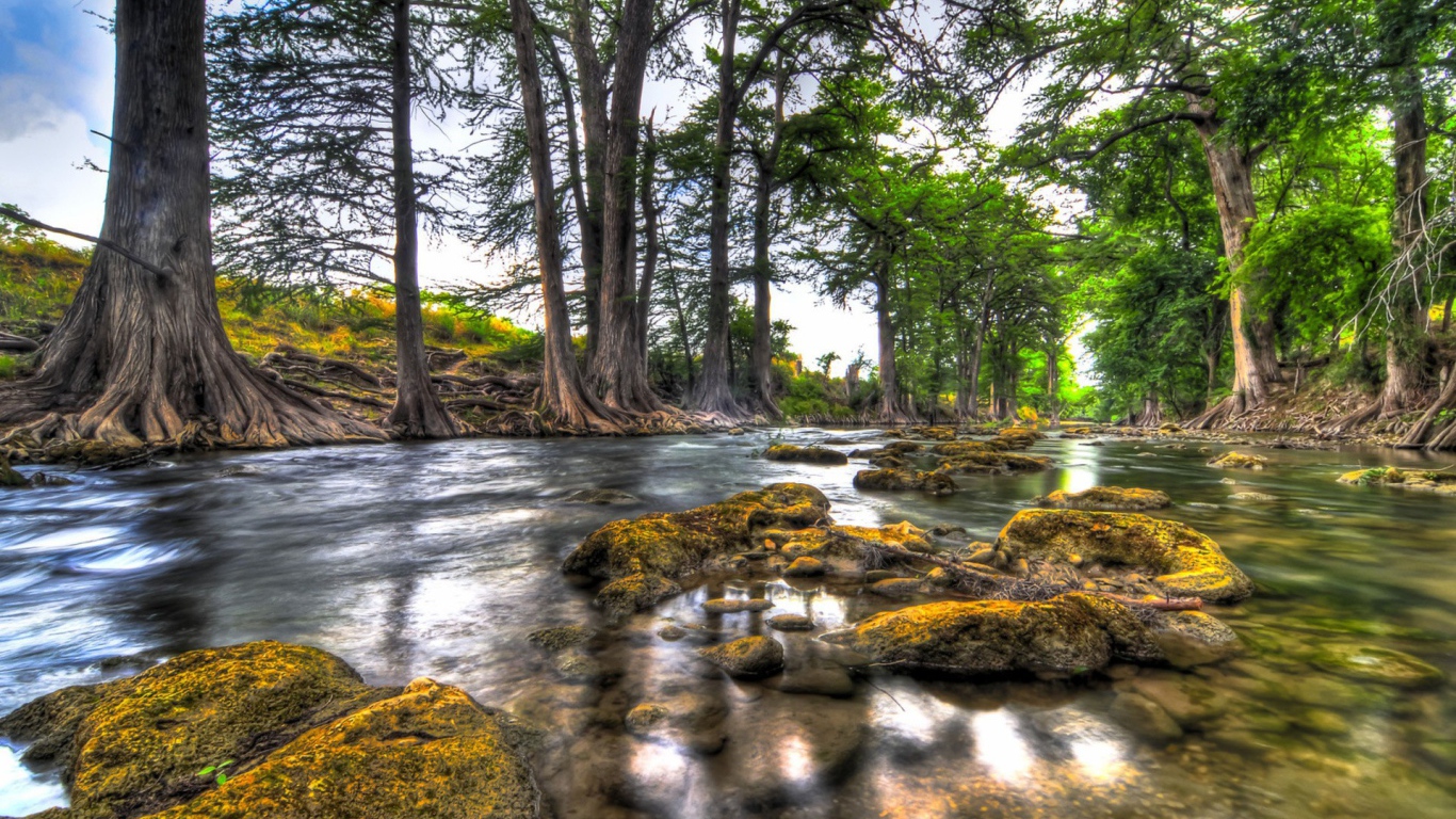 Природа вдоль реки