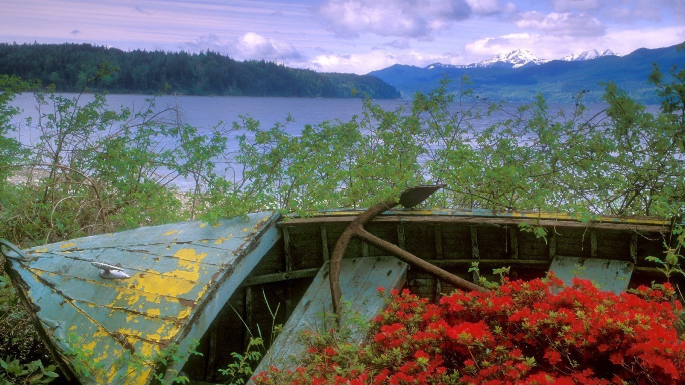 Заброшенная лодка с якорем