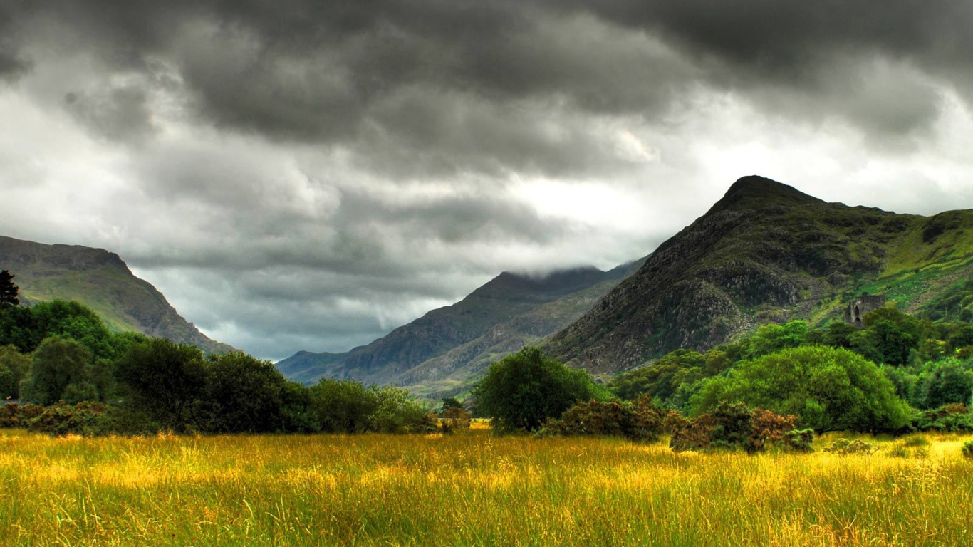 Болото заросшее травой