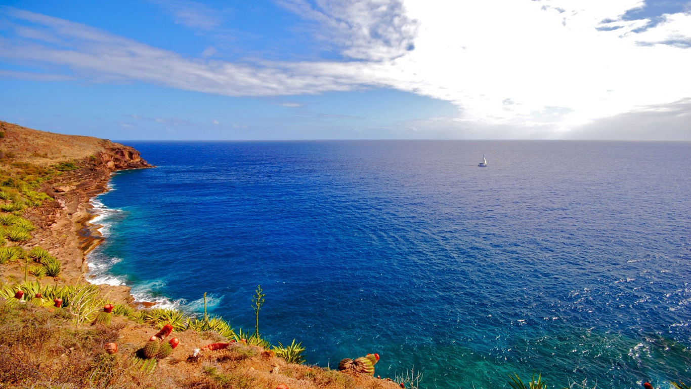 Одиночество в море