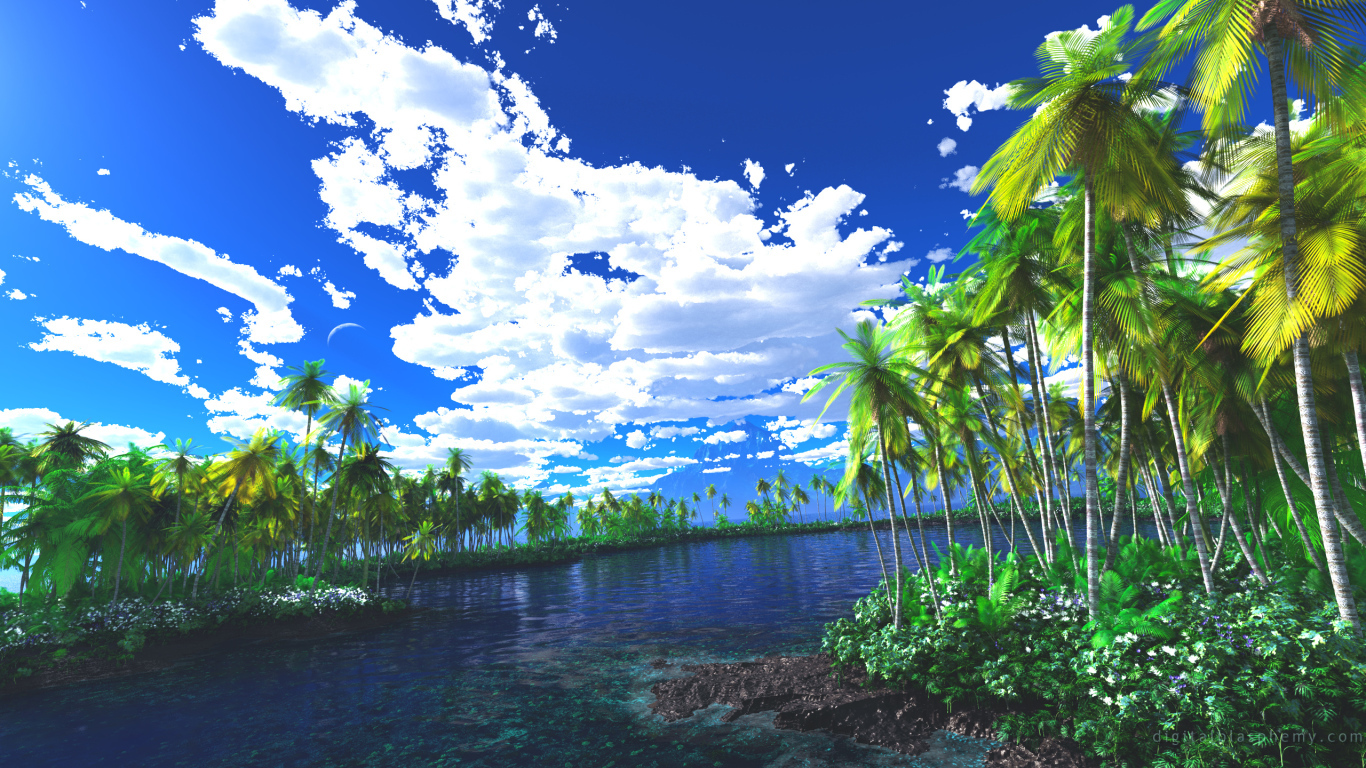 Лагуна заросшая пальмами