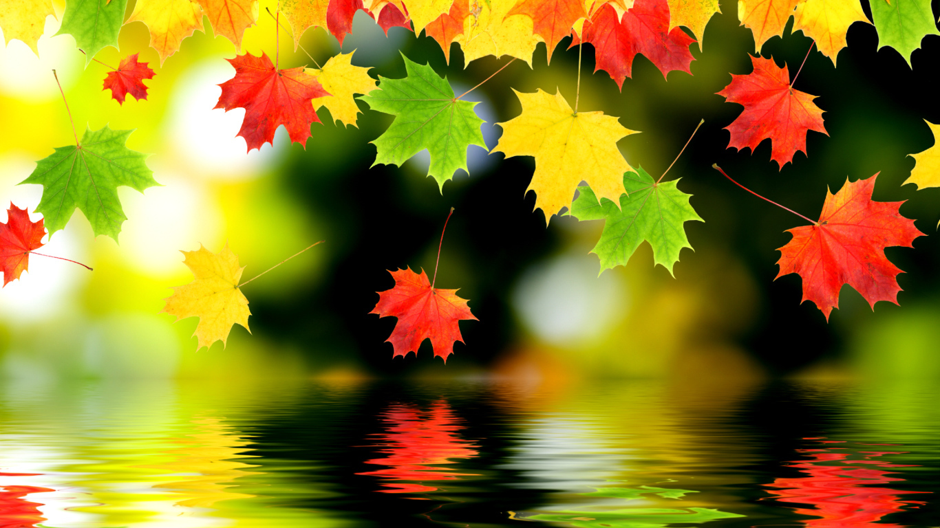 1366 X 768 Fall Wallpapers  Top Free 1366 X 768 Fall Backgrounds   WallpaperAccess