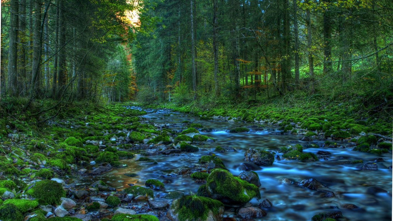 Весенний ручей в лесу