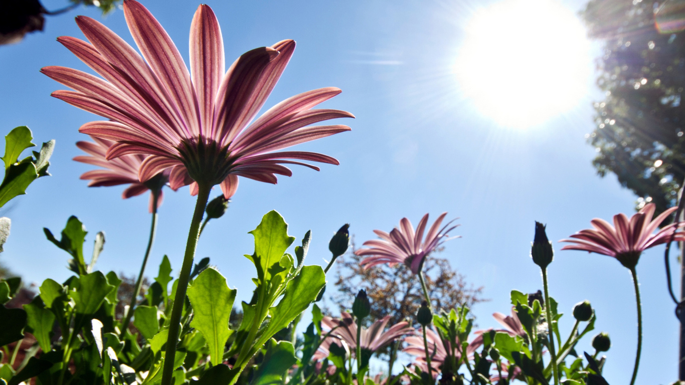 Sunny day of spring nature