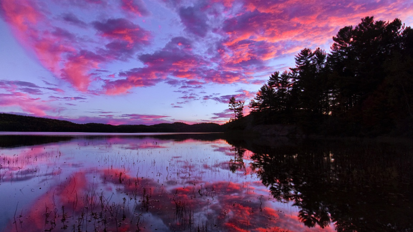 Розовый закат над озером