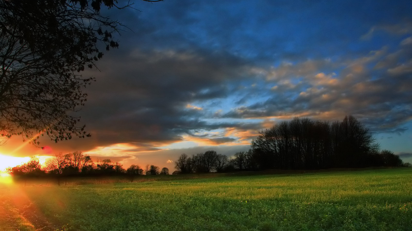 Закат на зеленом поле