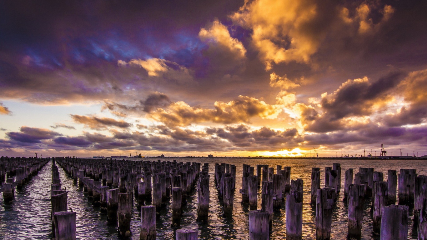 Деревянные сваи в воде