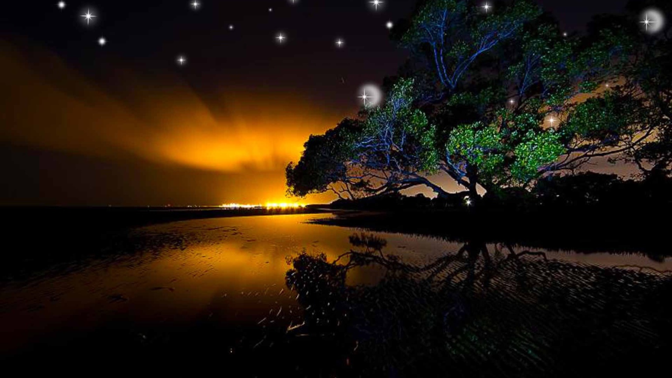 Звезды на ночном небе