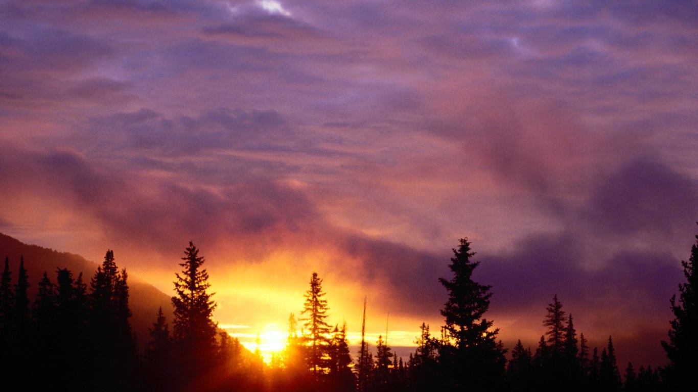 Закат в лесу