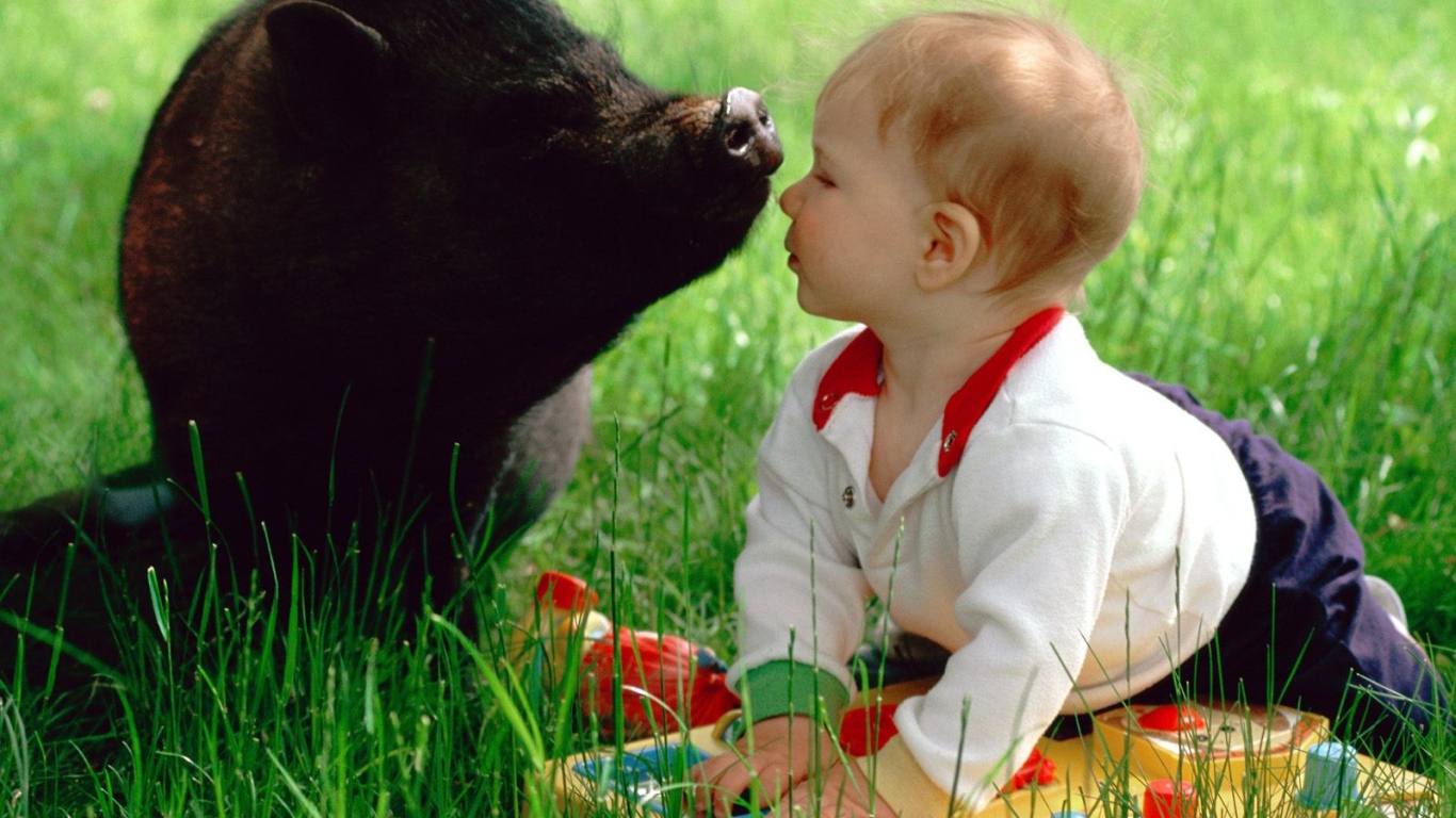 Ребенок и свинья