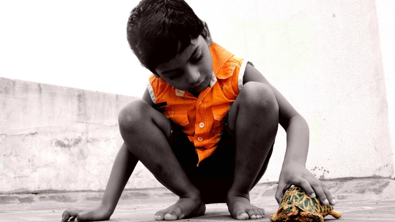 Ребенок с черепахой