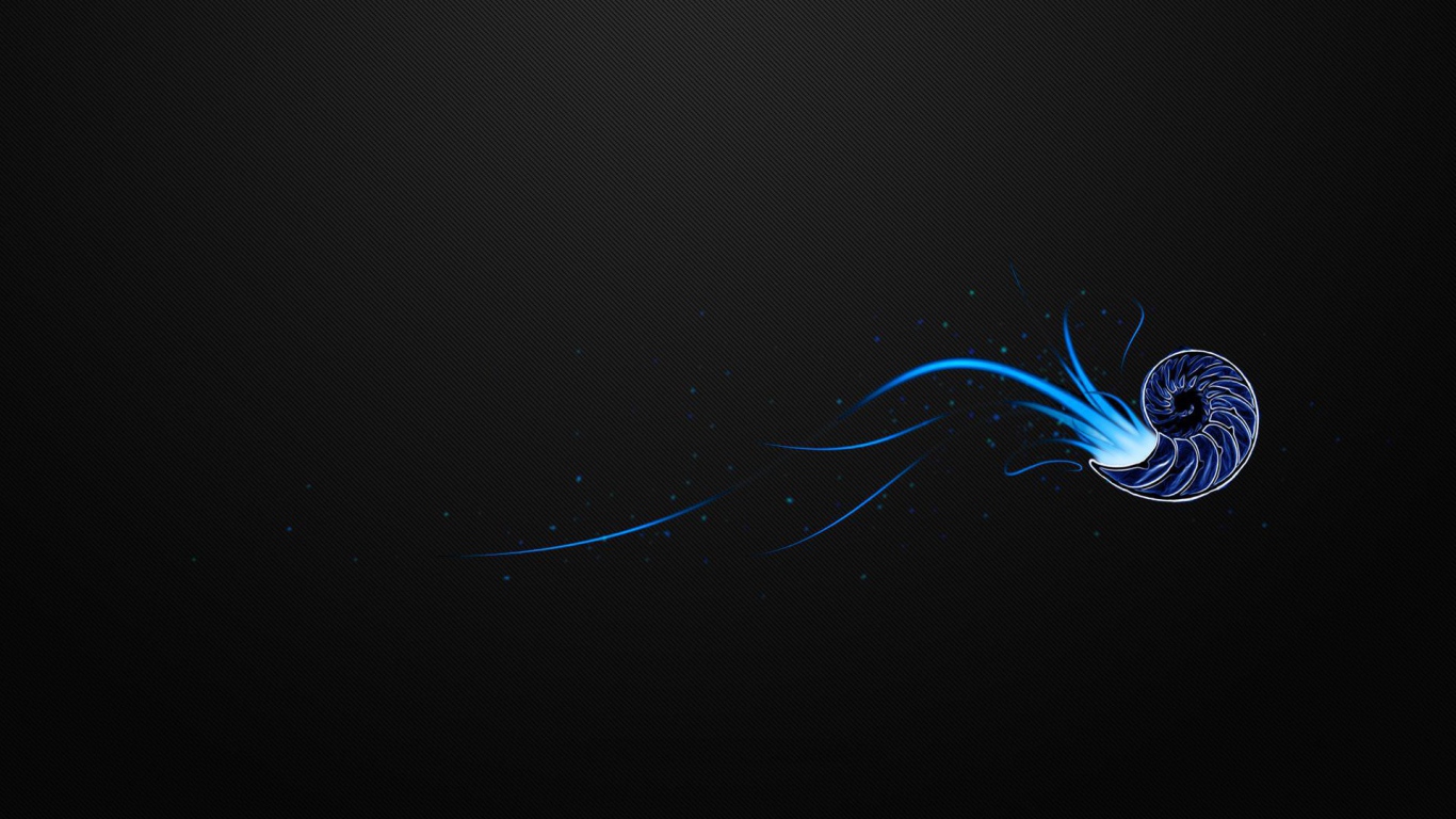 Ракушка на черном фоне