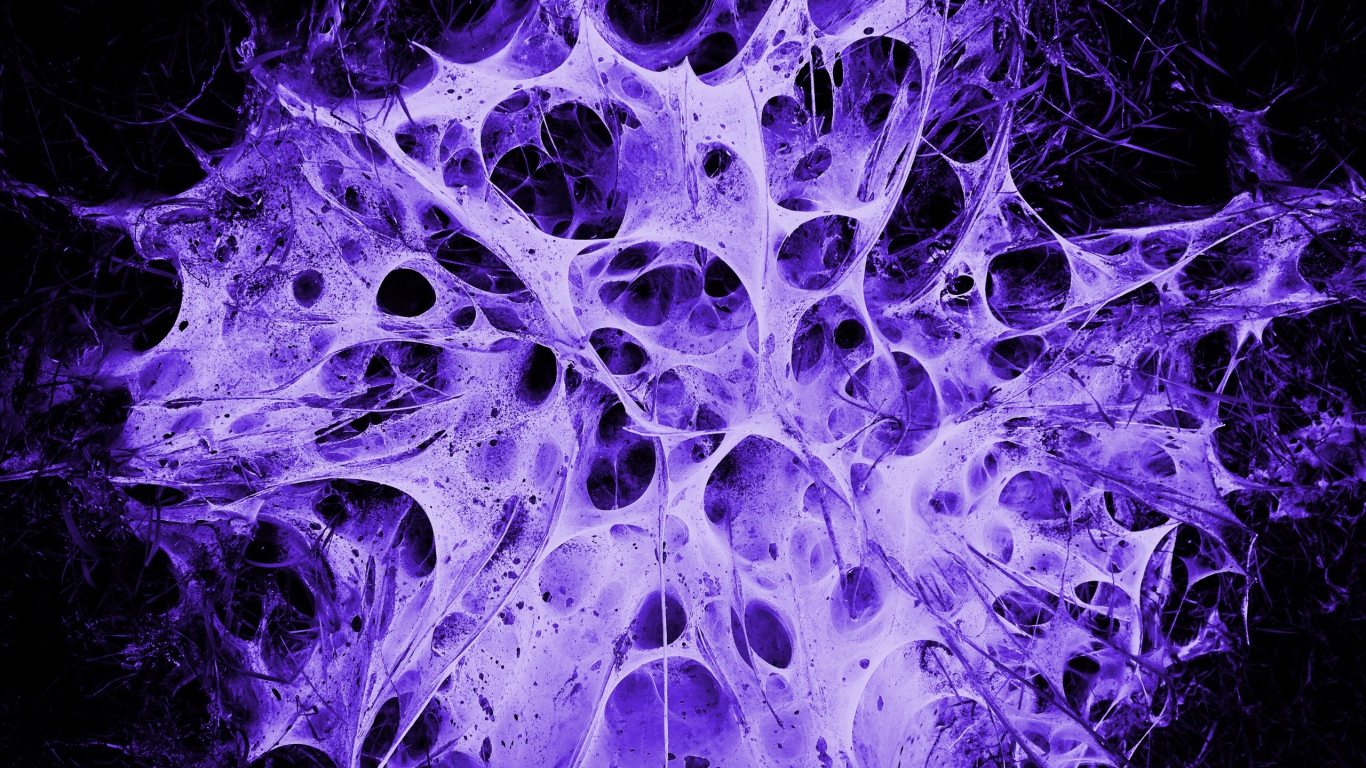 Пористая структура