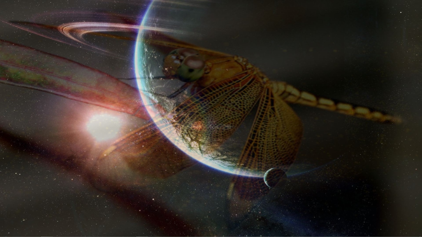 Стрекоза и космос