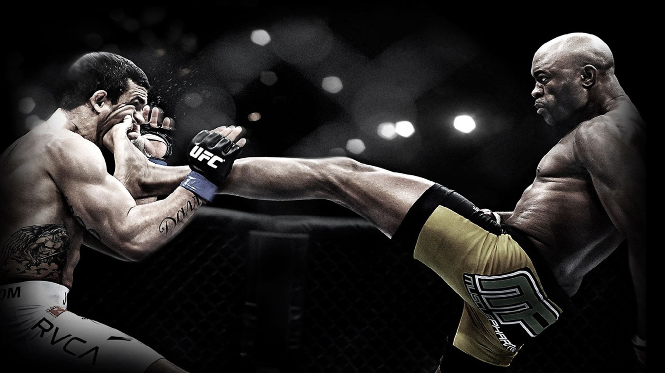 Popular UFC fighter Anderson Silva. spider 