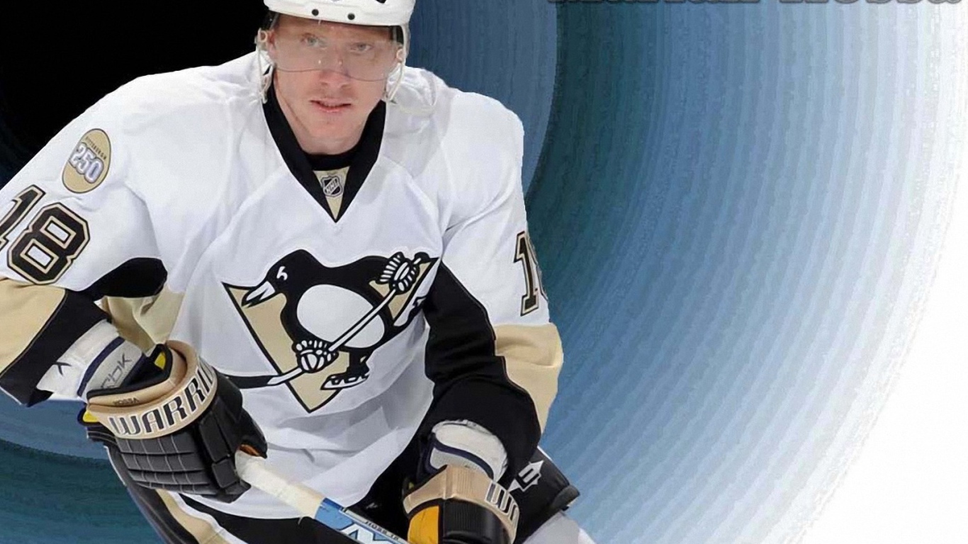 Хоккеист Мариан Хосса