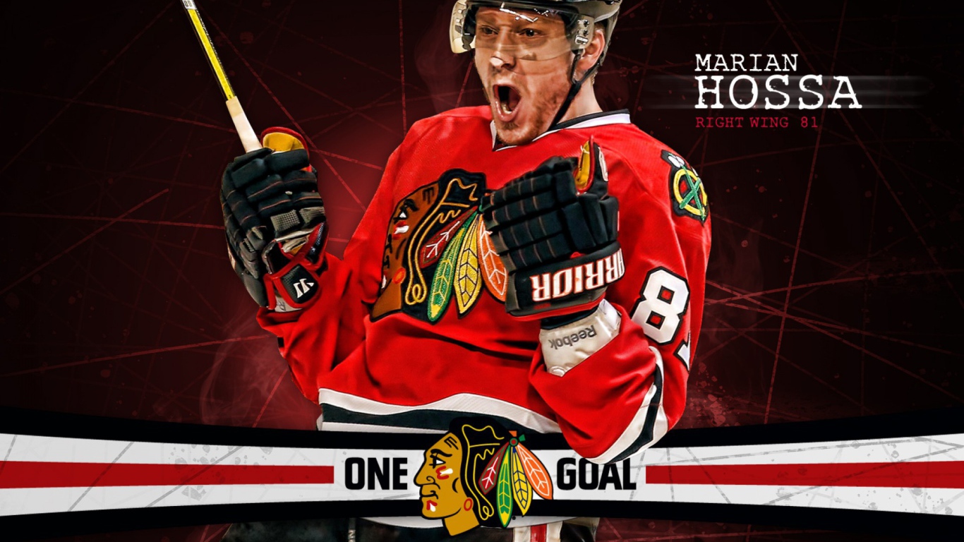 Игрок Мариан Хосса