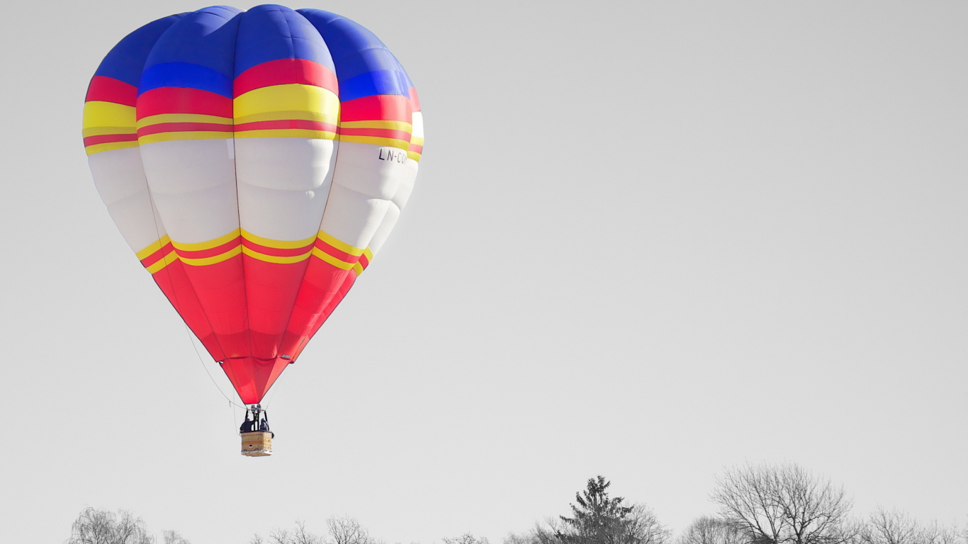 Воздушный шар над деревьями