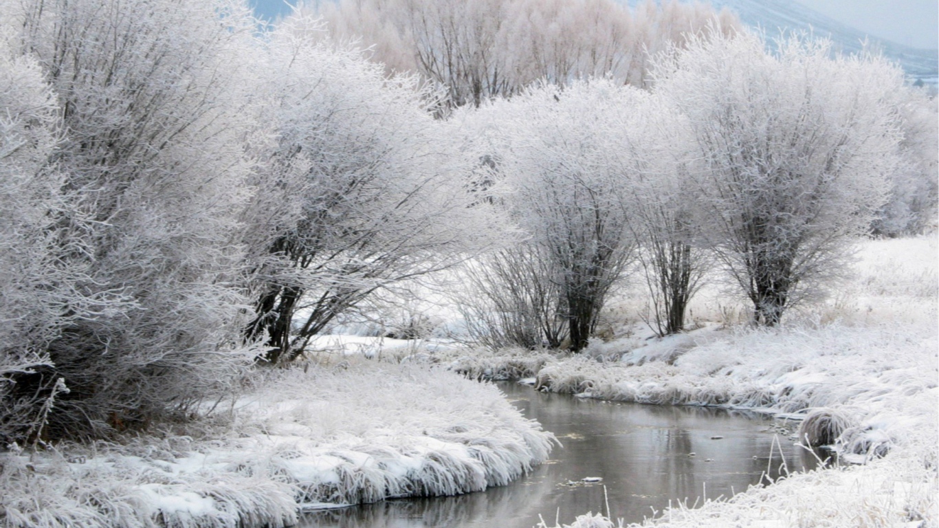 Зимний пейзаж с незамершей рекой